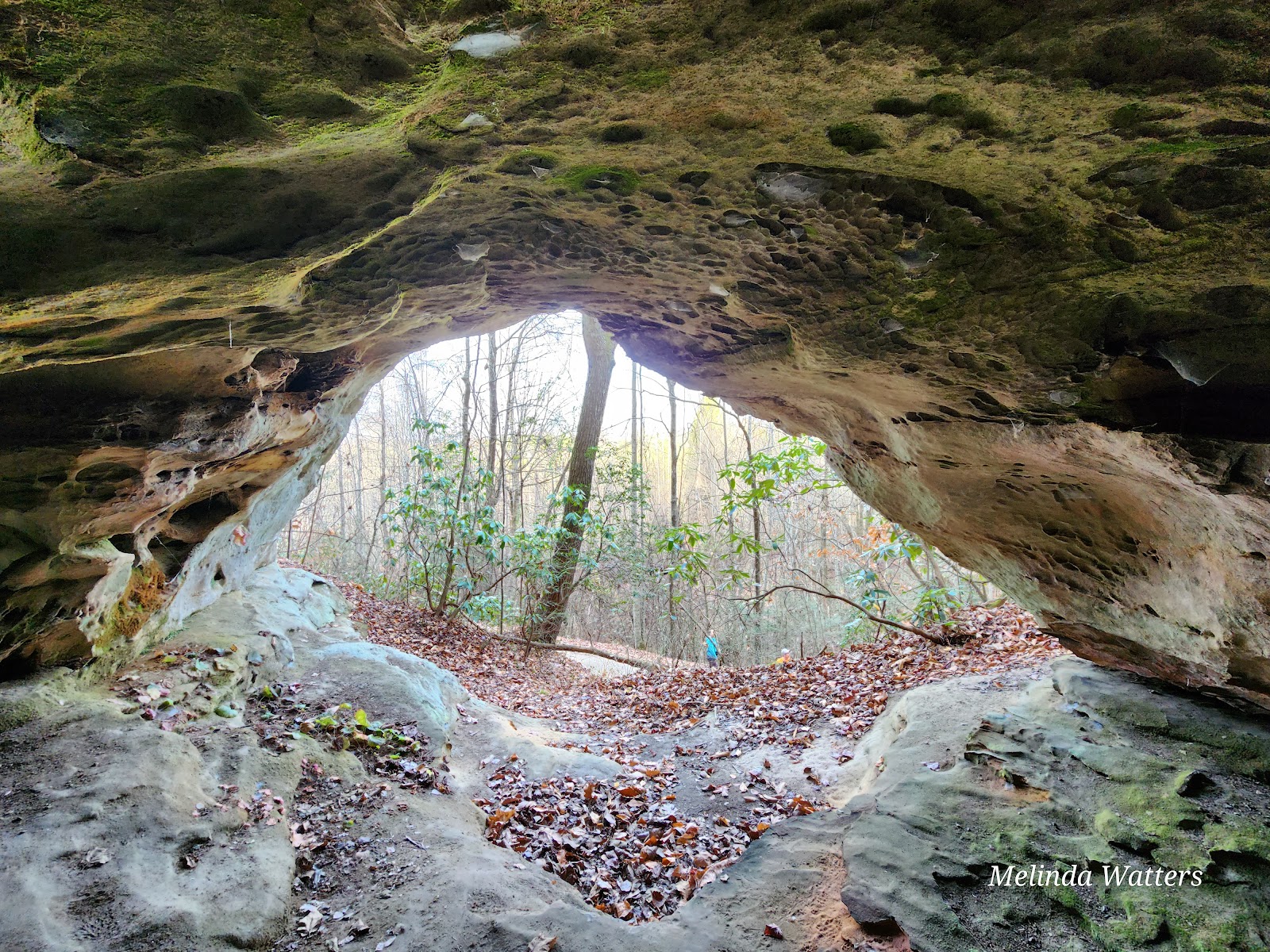 Bandy Creek - Big South Fork National River Rec Area