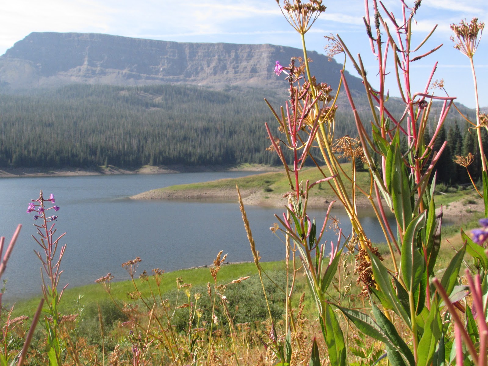 Horseshoe Campground