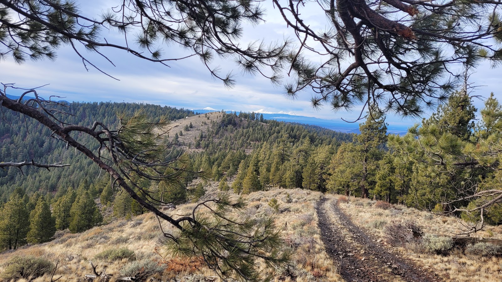 Pine Mountain Campground