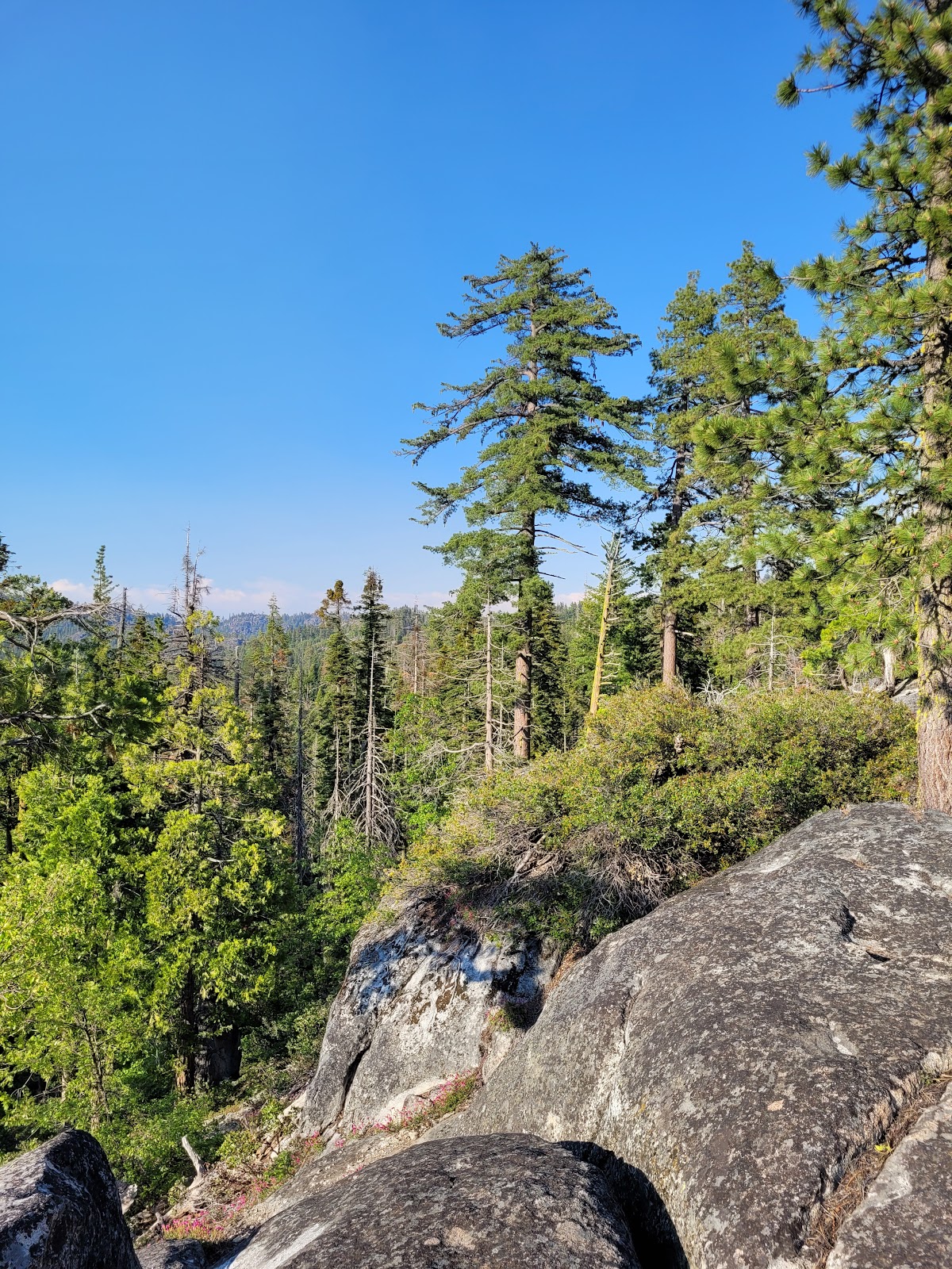 Cascade Creek Campground