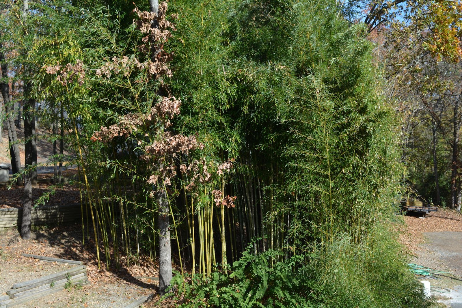 Hot Springs National Park KOA