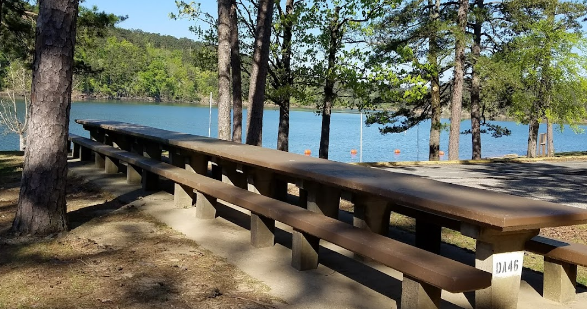 Swaha Lodge & Marina