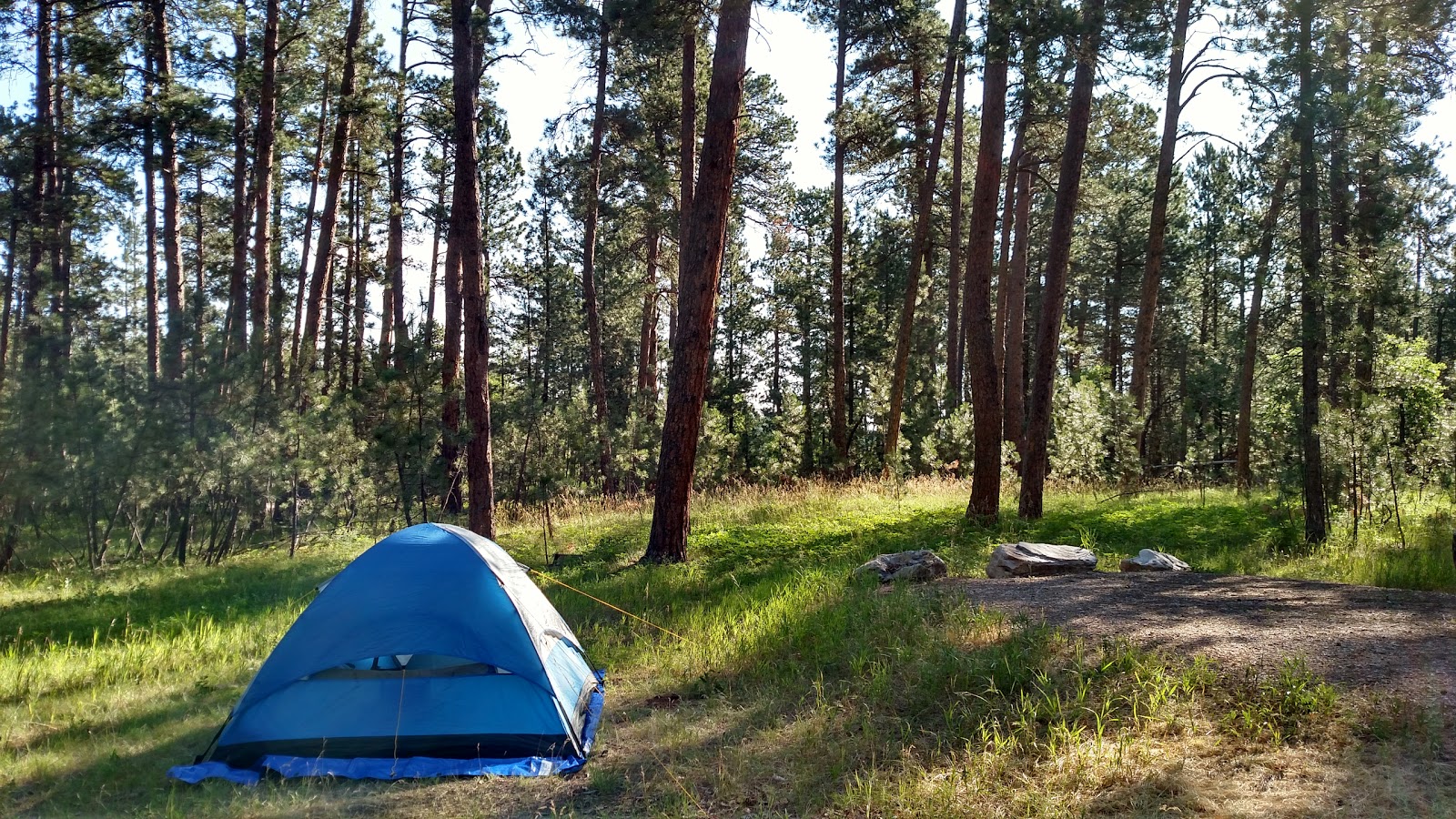 Bearlodge Campground