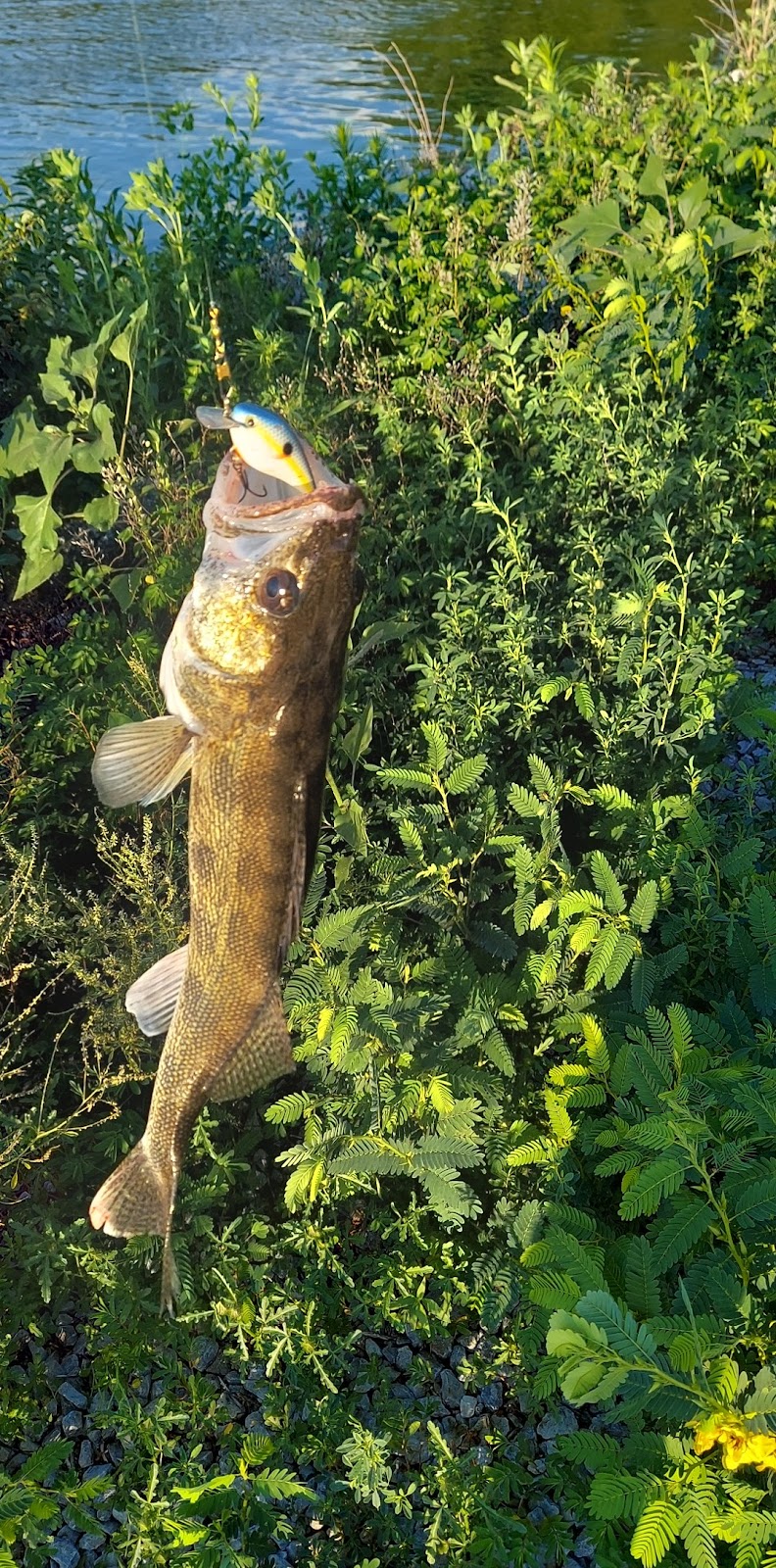 Olive Creek State Recreation Area