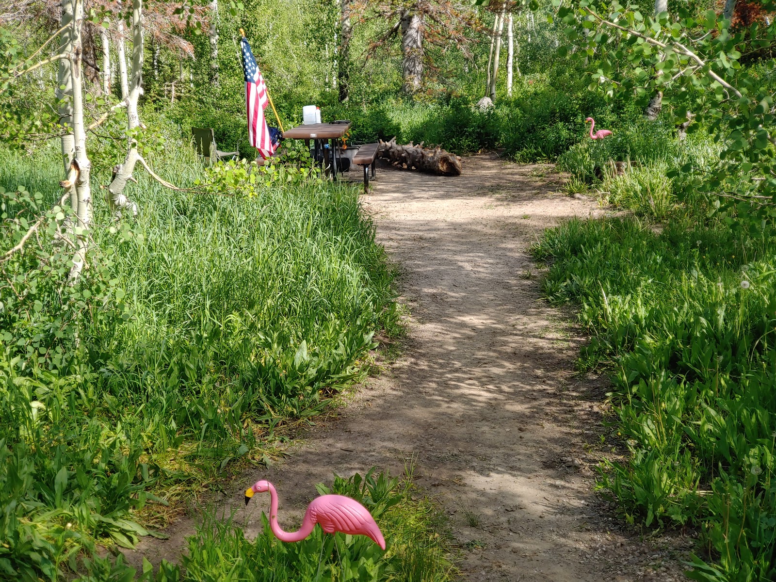 Bountiful Peak Campground