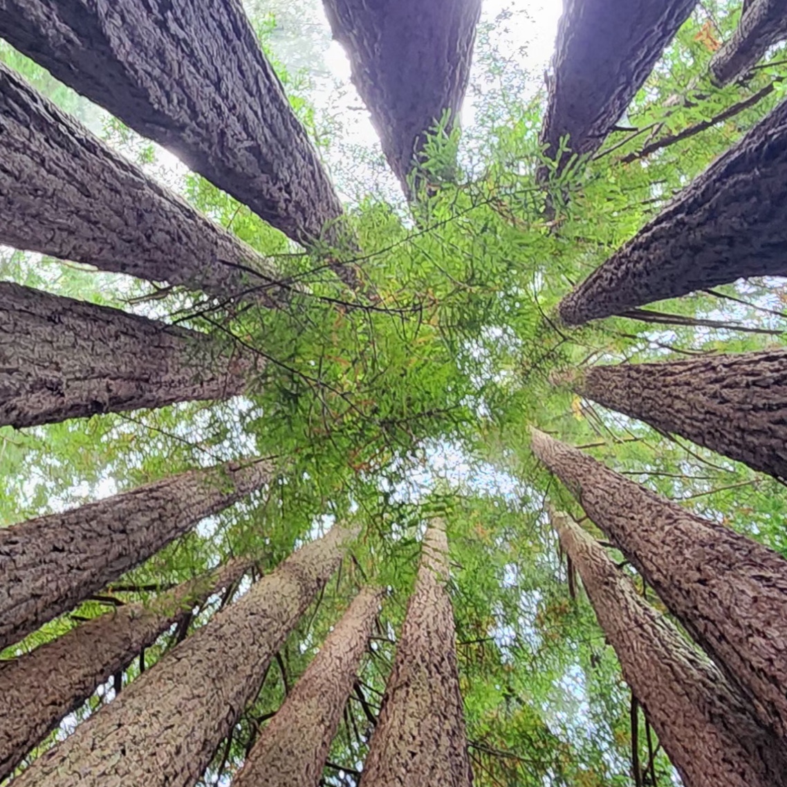 Anchor Bay Campground
