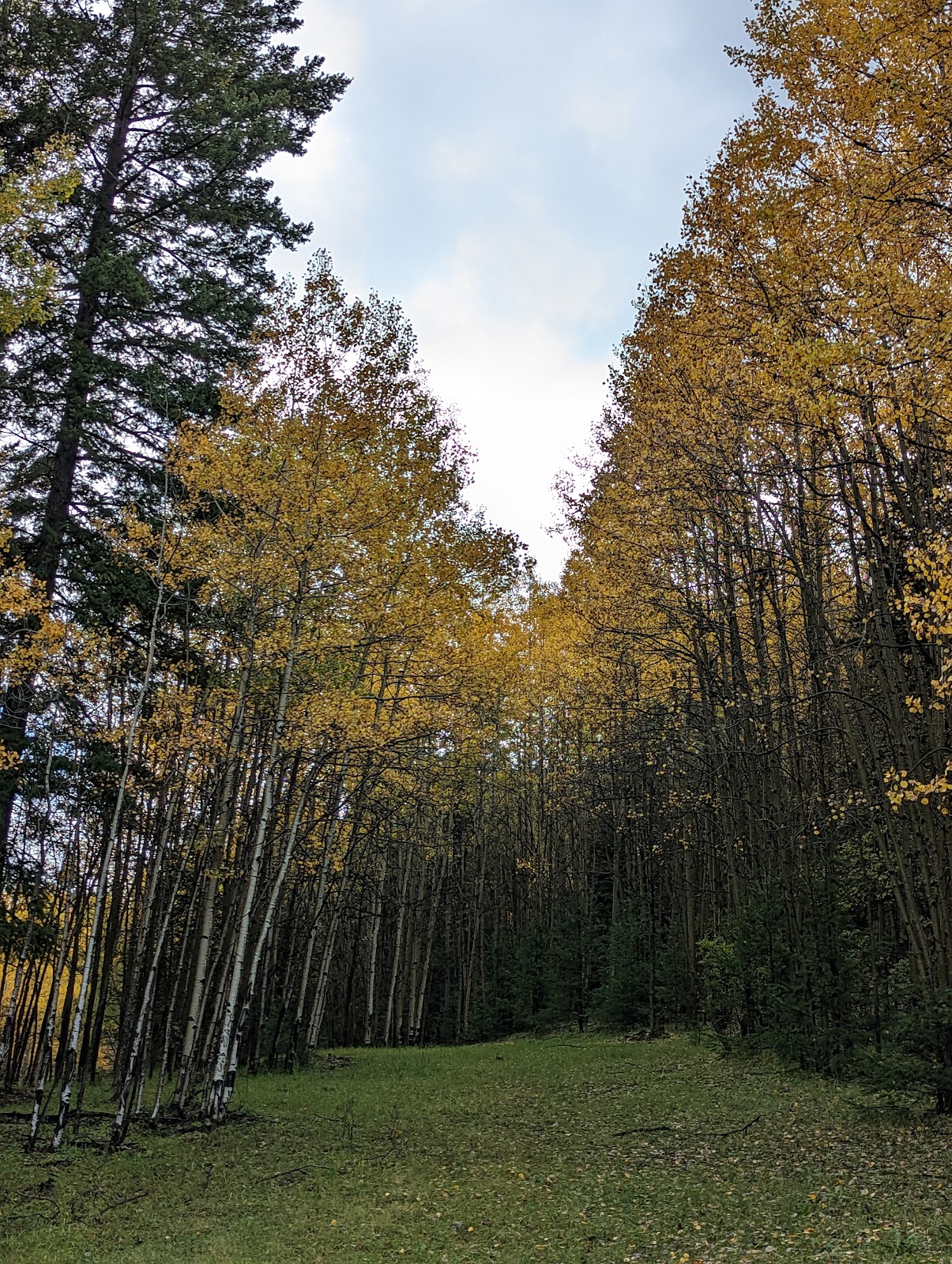 Upper Karr Campground