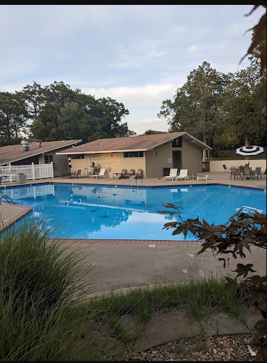 Serendipity Resort & Campground