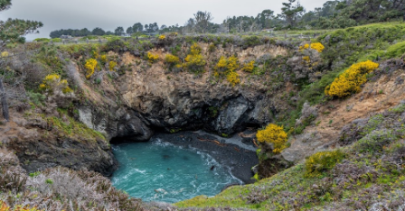 Russian Gulch State Park