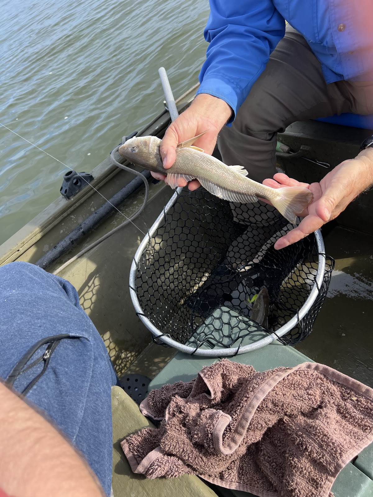 Backcountry Indian Key - Everglades National Park