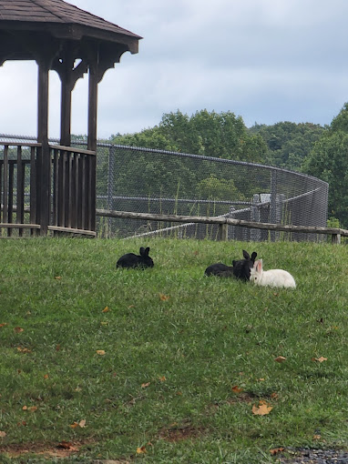 Shenandoah Valley Campground