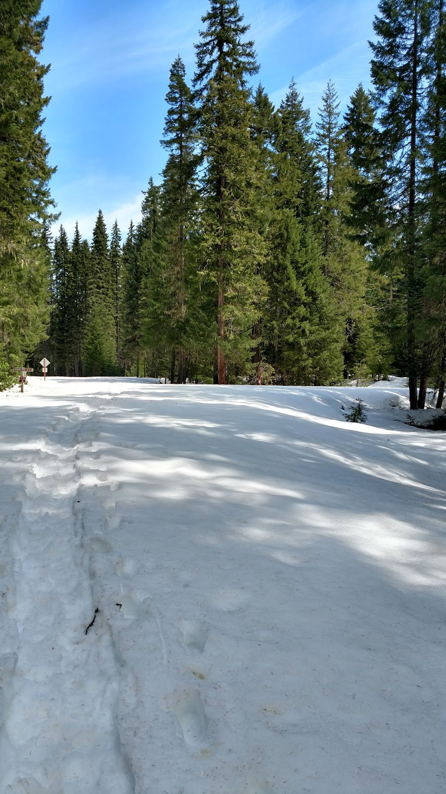 Box Canyon Horse Campground