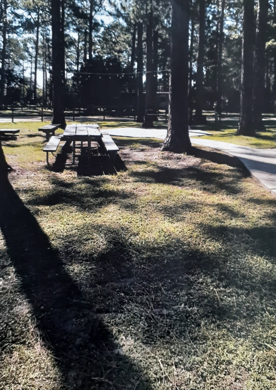 GNP--RUSTIC SANDS CAMPGROUND