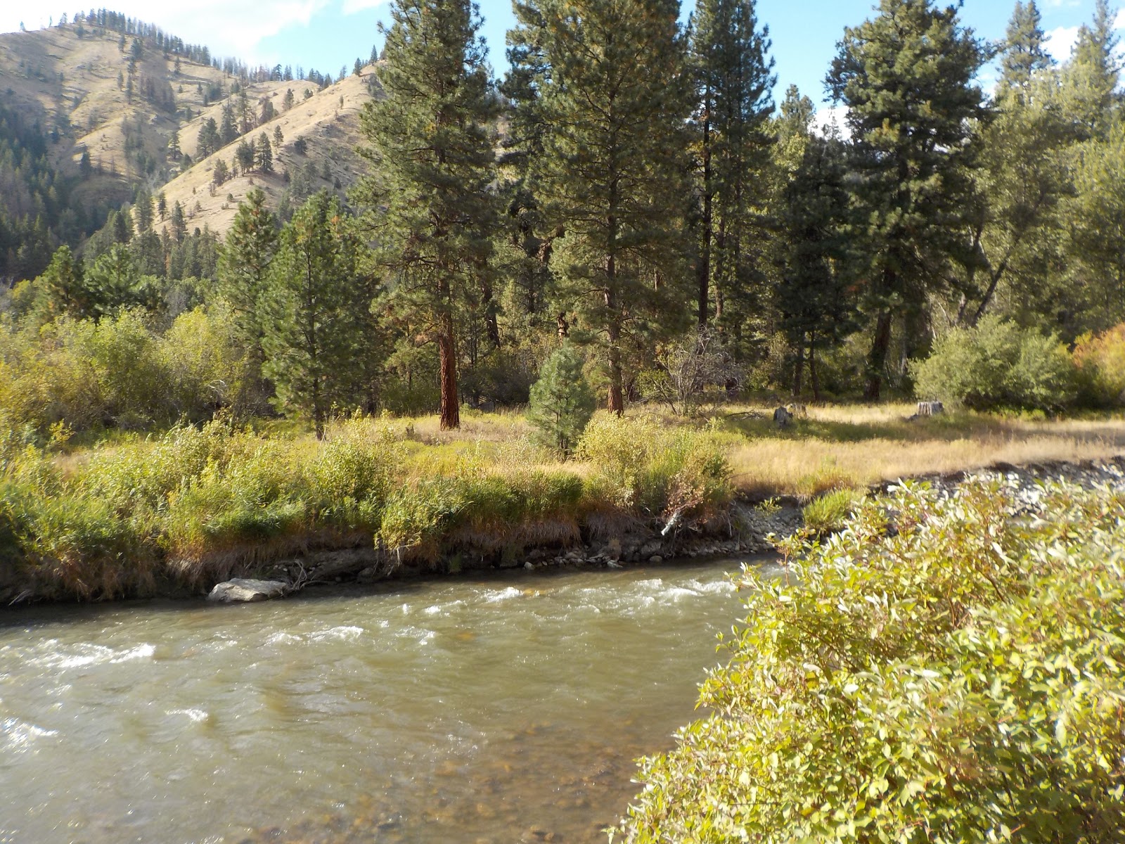 Dog Creek Campground