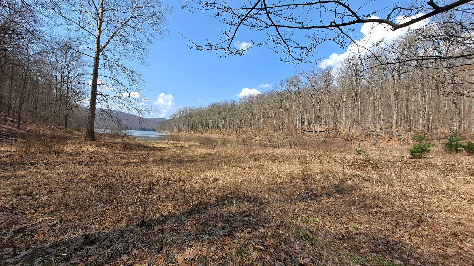 Handsome Lake Boat Access Campground