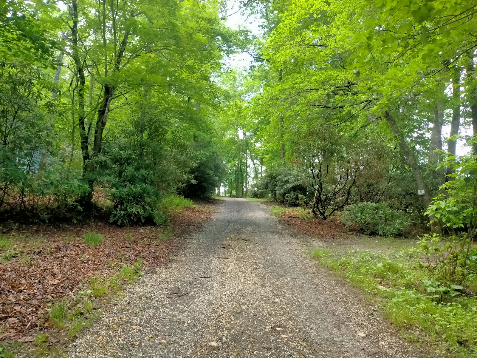 Spruce Pine Campground