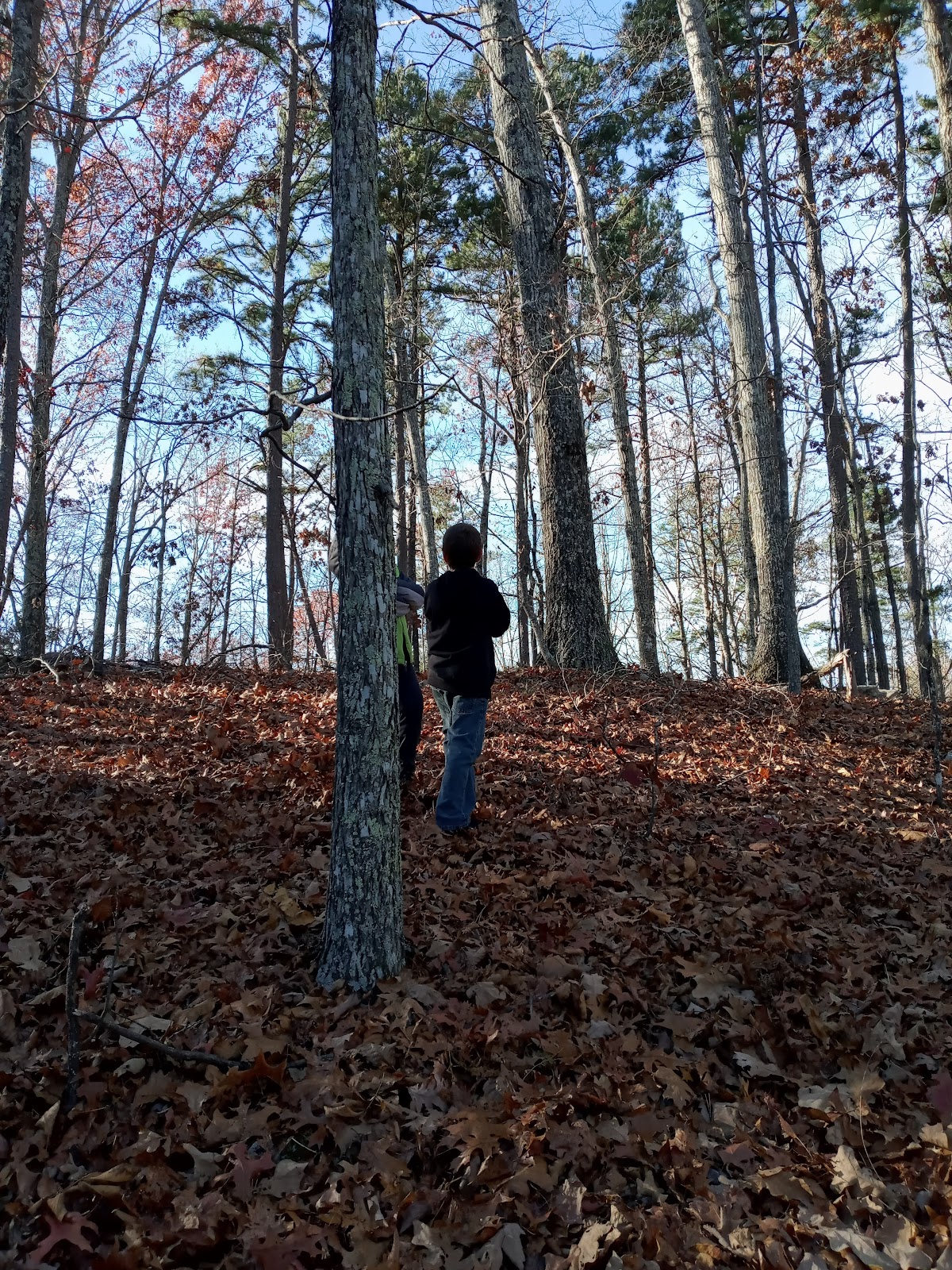 Mark Twain National Forest