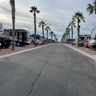 Palm Creek Golf & RV Resort (55+ park)