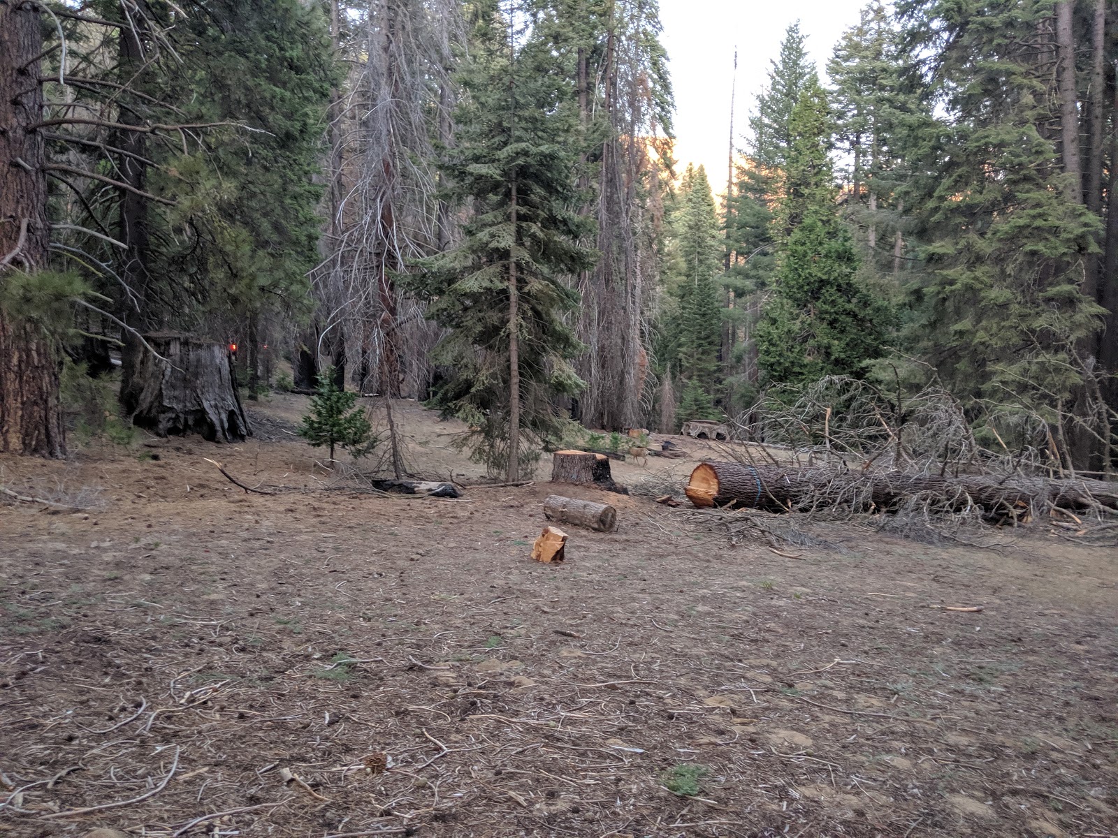 Atwell Mill Campground