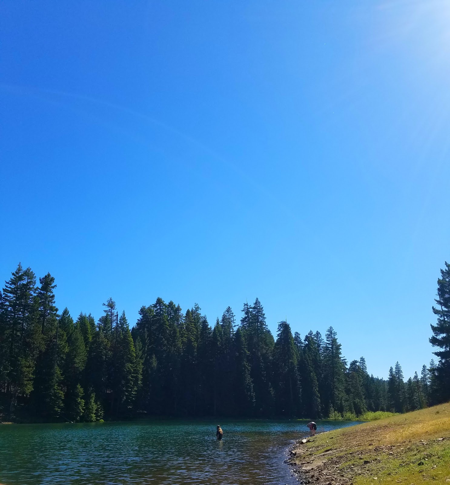 Willow Point Campground - Howard Prairie Rec Area