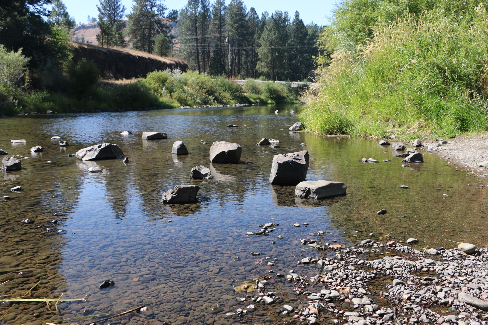 Frog Heaven Campground