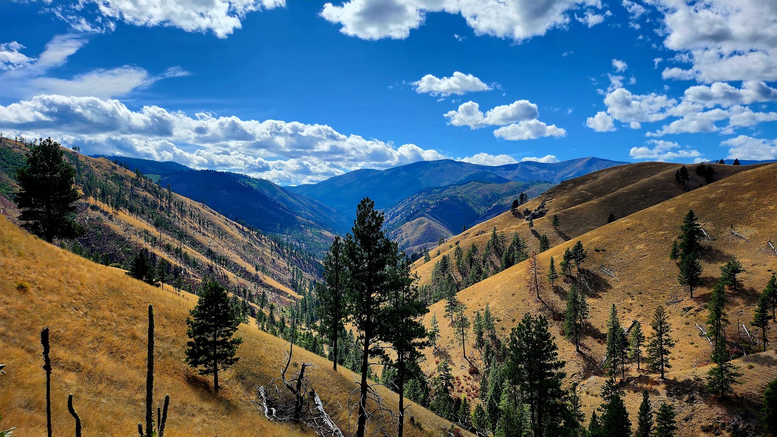 Blodgett Canyon Trailhead Campground