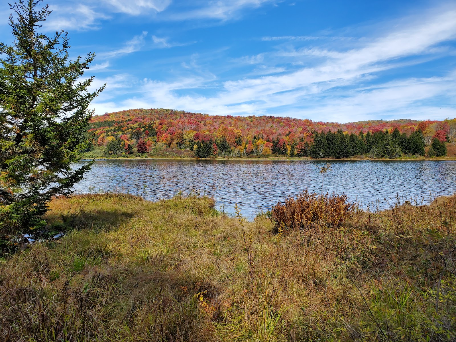Spruce Knob Lake NF Campground