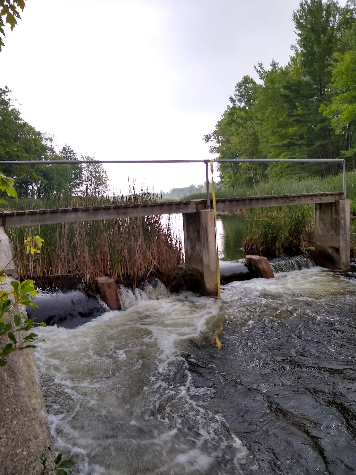 Grass Lake SF Campground