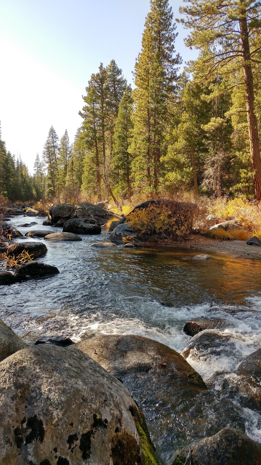 Fence Creek Campground