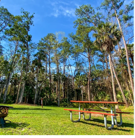 Boy Scout Campground