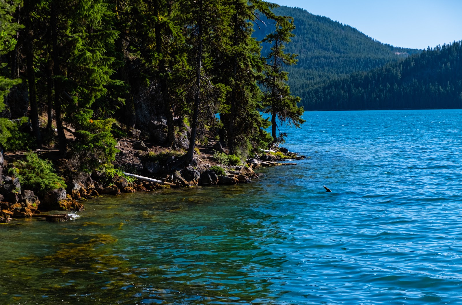 Little Crater Campground