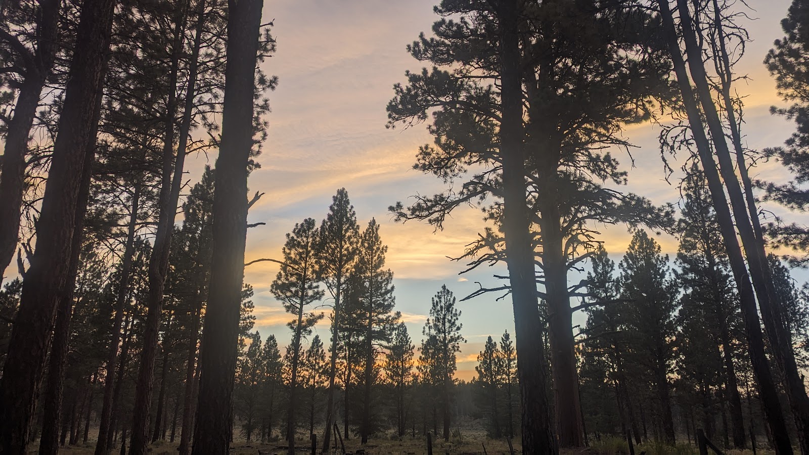 Joaquin Miller Horse Campground