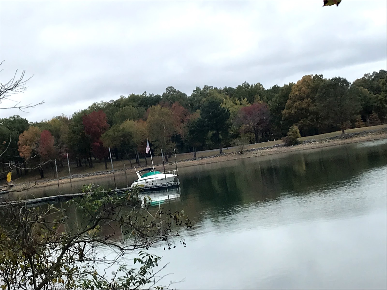 Bee Spring Lodge & Marina