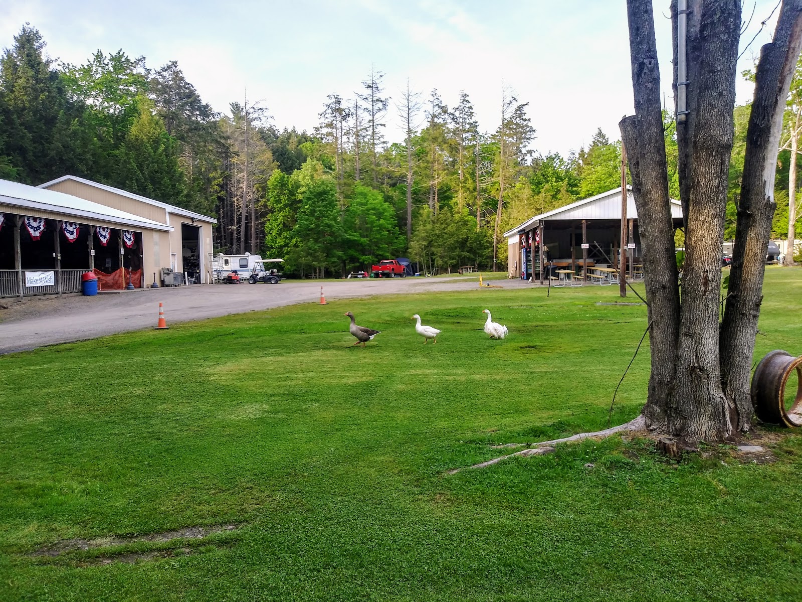 Moyers Grove Campground