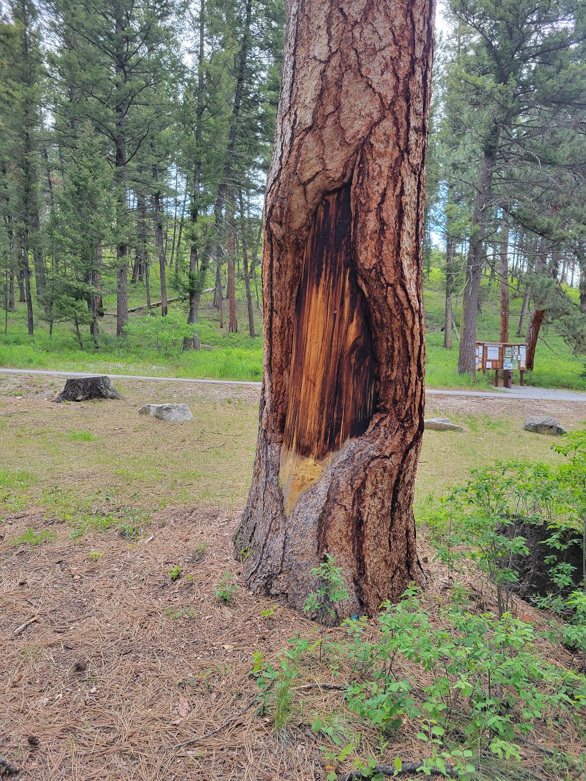 Indian Trees Campground