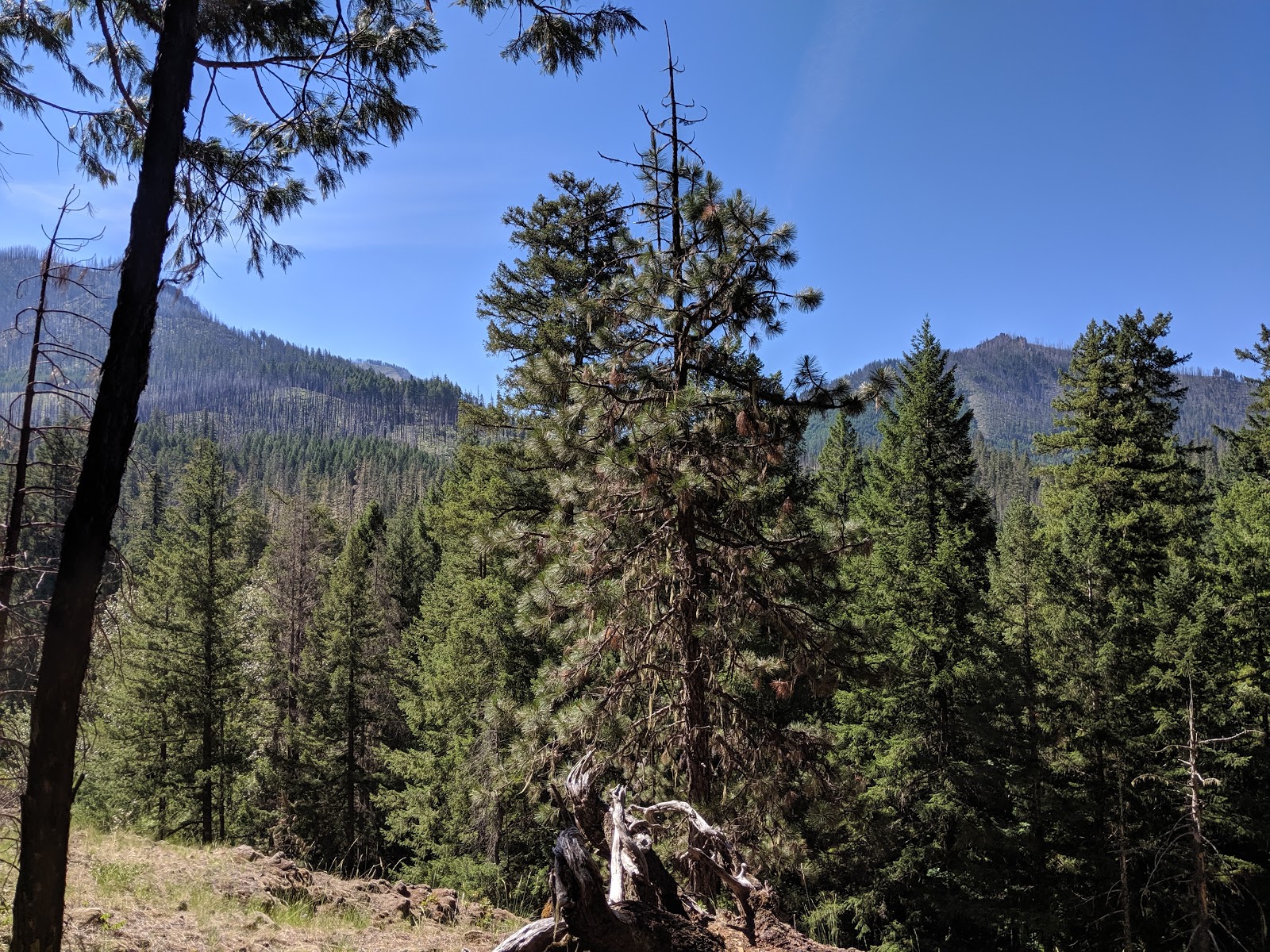 Sacandaga Campground