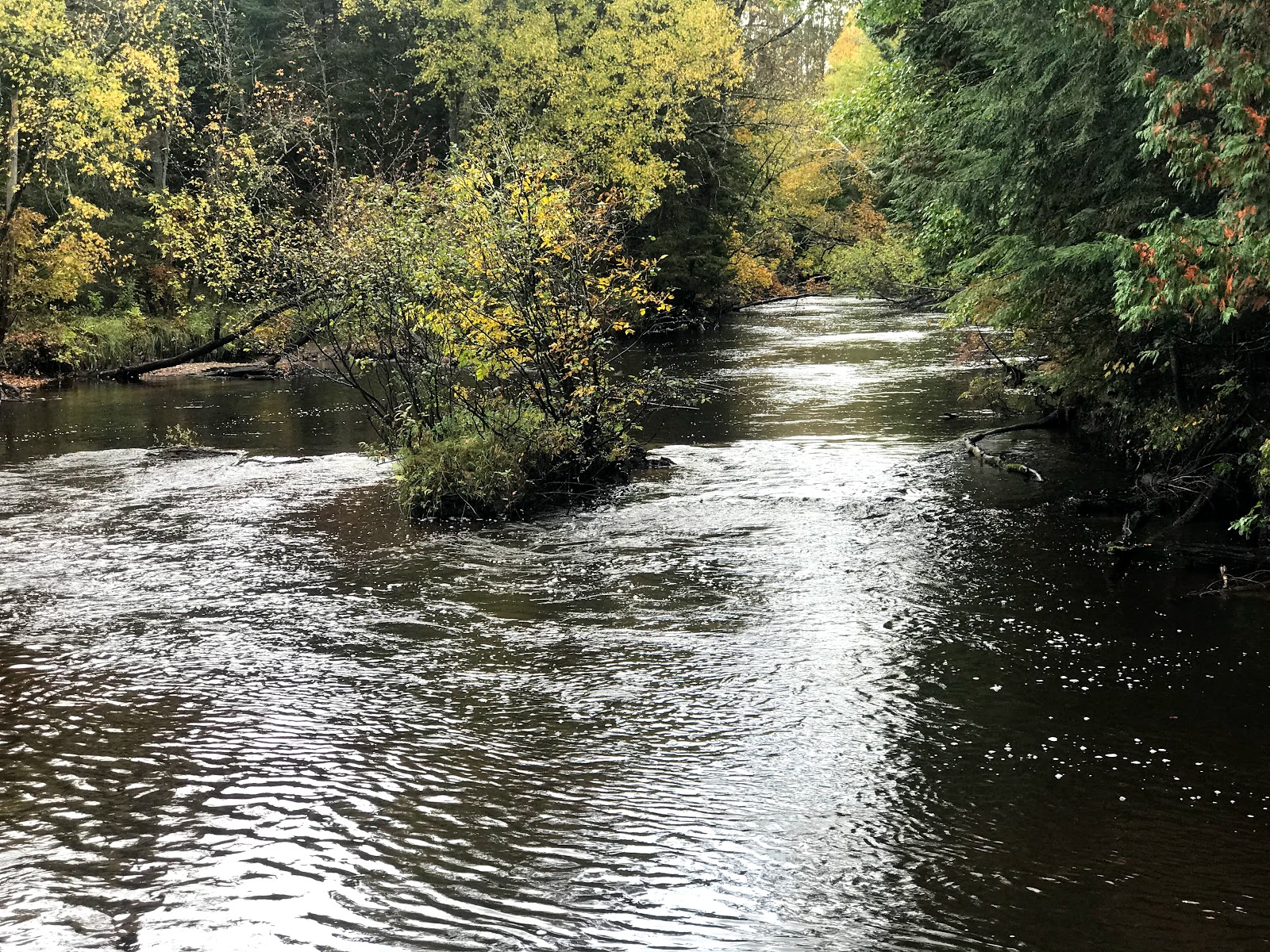 Flowing Well NF Campground