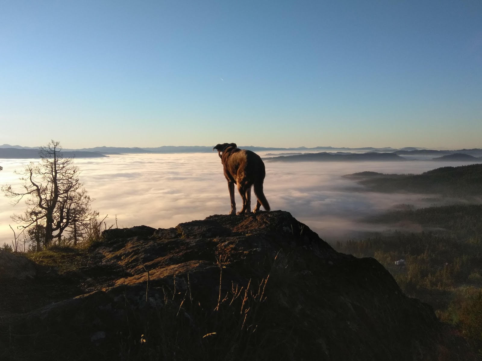 Shamrock Village MH Park