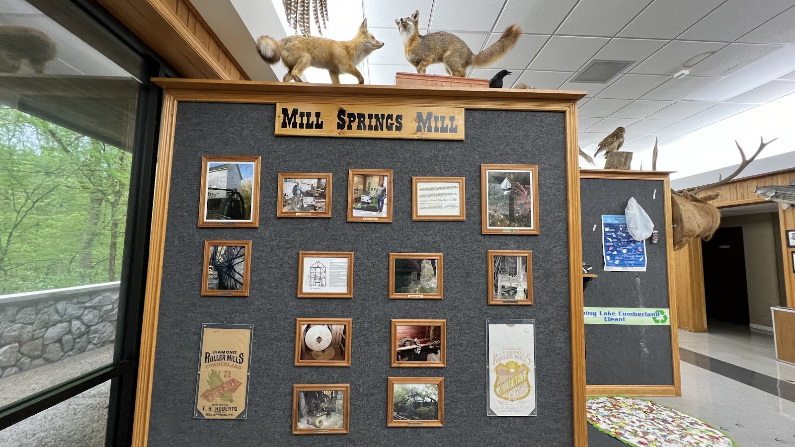 COE Lake Cumberland Fall Creek Campground