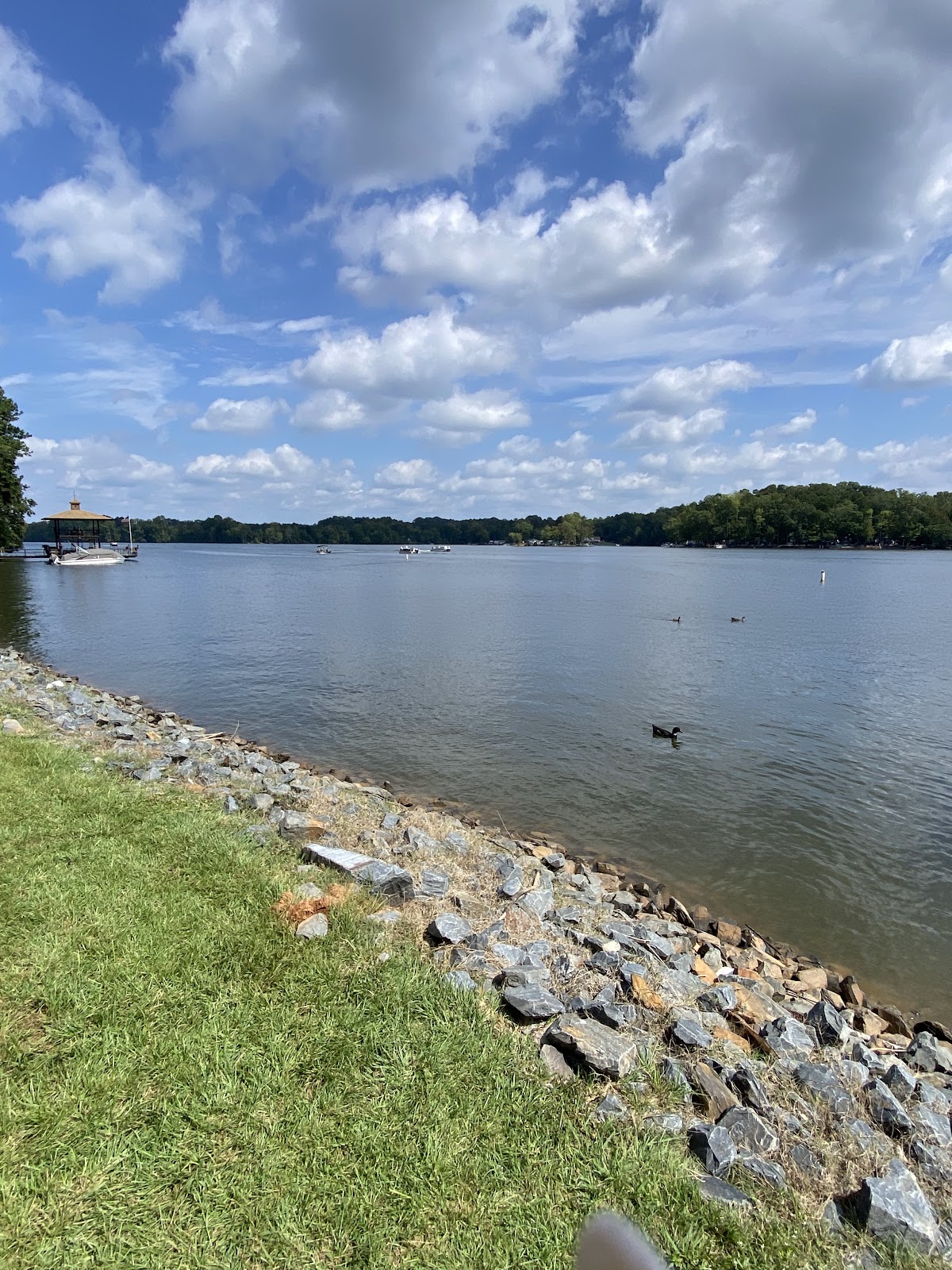 Tamarac Marina and Campground
