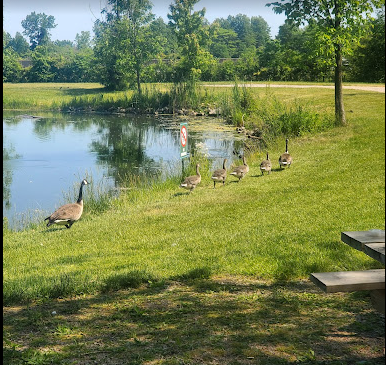 Golden Eye Campground