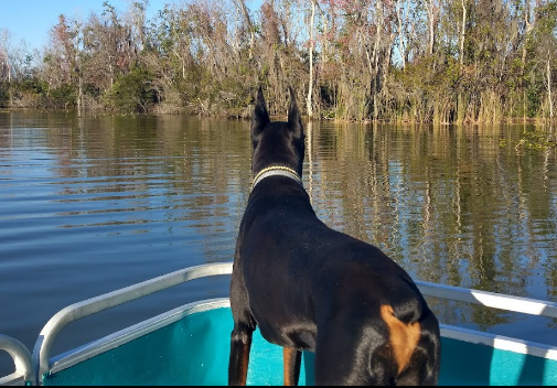 The Outpost RV Resort