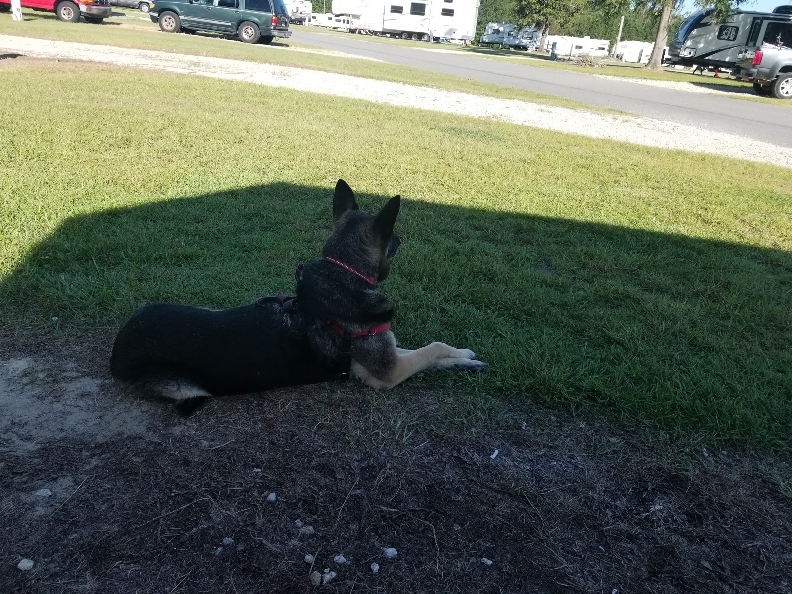 Valdosta Oaks RV Park