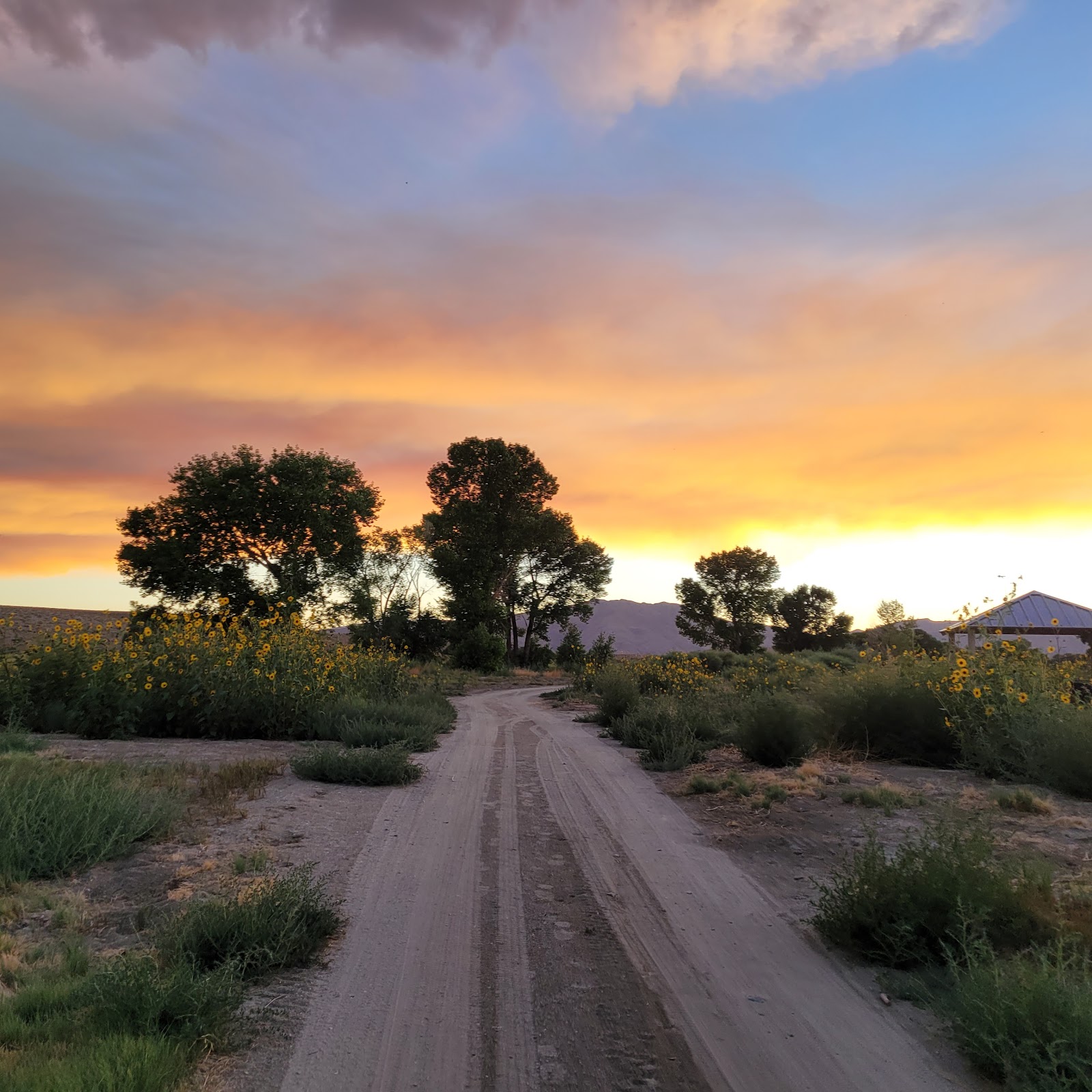 Walker River State Recreation Area