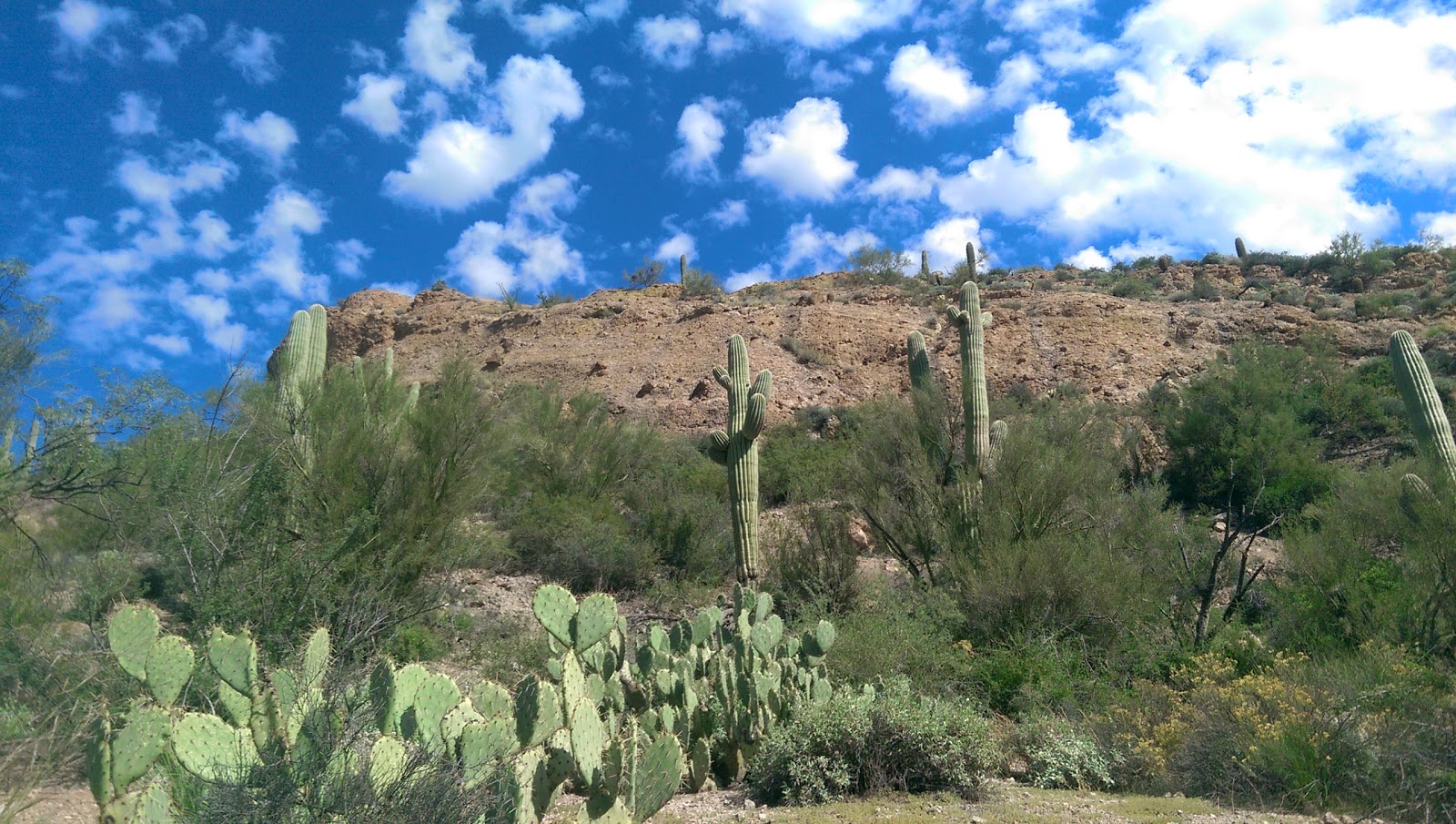 Golden Vista RV Resort