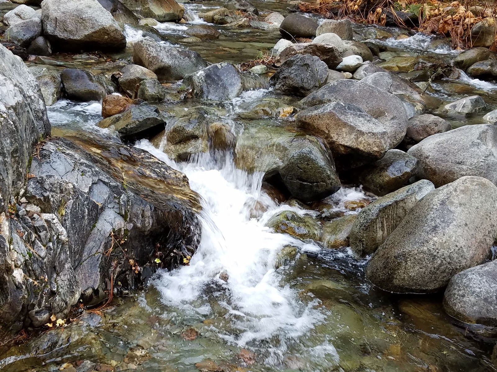 Tunnel Mills Group Campground