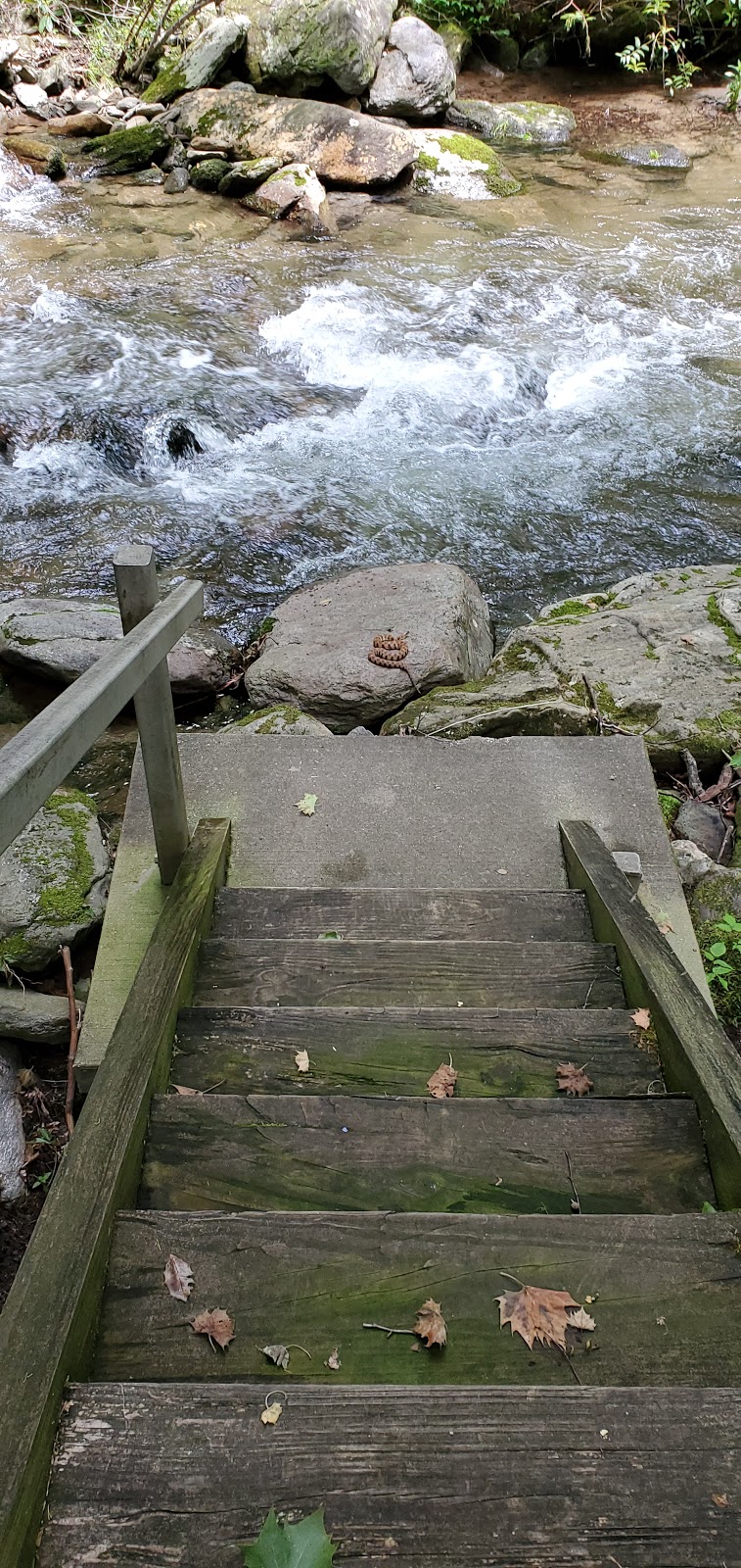 Curtis Creek NF Campground