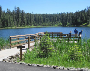 Ochoco Divide Group Site Camping