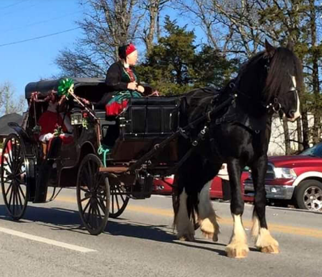 Summit's Valley Shire and Sport Horses, LLC