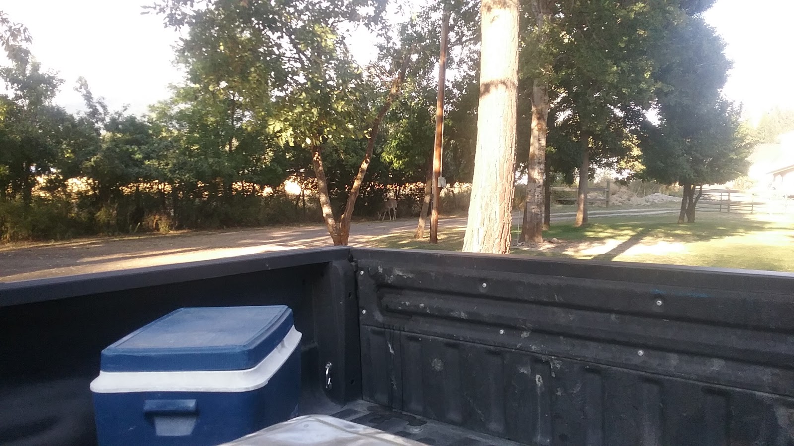 Two-Bit Outfit RV Park